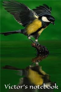 Victor's notebook, journal . size 6x9, 100 pages