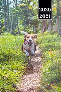 Beagle Dog Calendar Week Planner 2020 / 2021 - Walk in Paradise