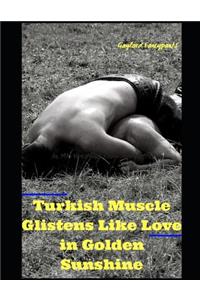 Turkish Muscle Glistens Like Love in Golden Sunshine