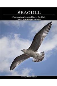 Seagull: Fascinating Seagull Facts for Kids with Stunning Pictures!