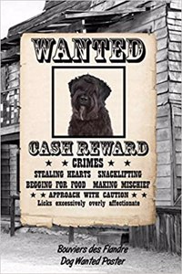 Bouviers Des Flandre Dog Wanted Poster