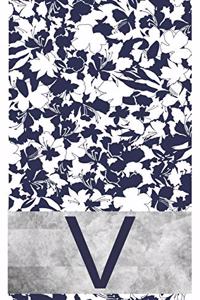 V Initial Notebook