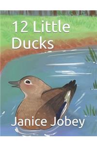 12 Little Ducks