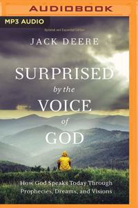 Surprised by the Voice of God