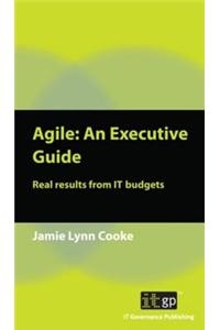 Agile: An Executive Guide