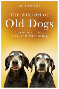 Wisdom of Old Dogs