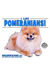 I Like Pomeranians!