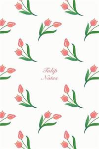 Tulip Notes