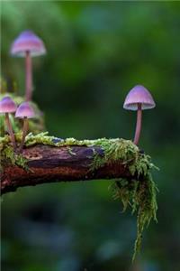 Cute Mini Mushrooms Notebook