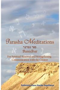 Parasha Meditations: Bamidbar - Visualizing our Lives' Journeys: For Spiritual Renewal and Strengthening Communication with the Creator
