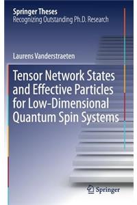 Tensor Network States and Effective Particles for Low-Dimensional Quantum Spin Systems