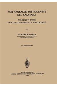 Zur Kausalen Histogenese Des Knorpels
