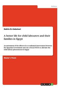 better life for child labourers and their families in Egypt