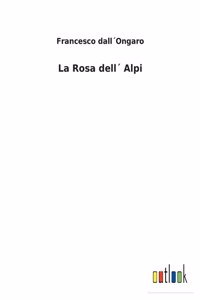 Rosa dell´ Alpi