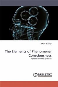 Elements of Phenomenal Consciousness
