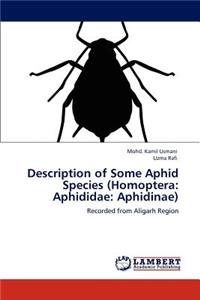 Description of Some Aphid Species (Homoptera