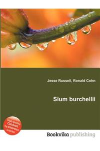 Sium Burchellii