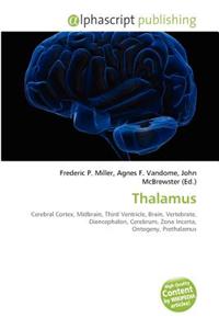 Thalamus