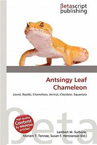 Antsingy Leaf Chameleon
