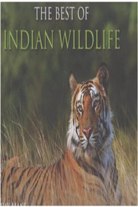THE BEST OF INDIAN WILDLIFE