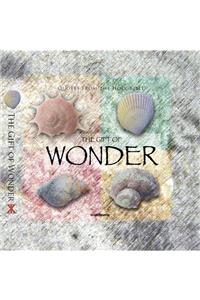 Gift of Wonder (CEV Bible Vers