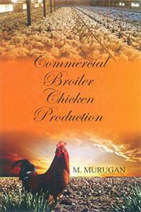 Commercial Broiler Chicken Production