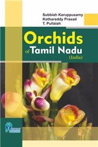 Orchid Of Tamil Nadu, India