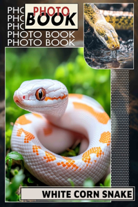 White Corn Snake Photo Book