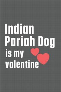 Indian Pariah Dog is my valentine