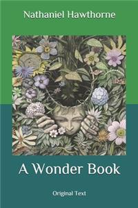A Wonder Book