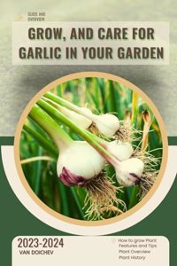 Grow, and Care For Garlic in Your Garden