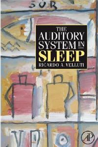 The Auditory System in Sleep