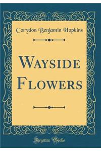 Wayside Flowers (Classic Reprint)