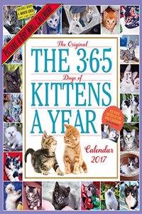 365 Kittens-A-Year Wall Calendar 2017