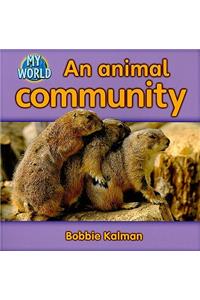 An Animal Community