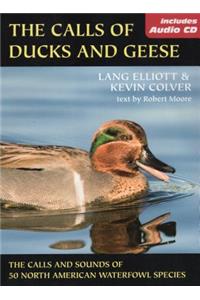 Calls of Duck and Geese