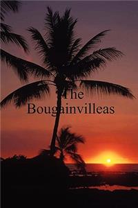 The Bougainvilleas