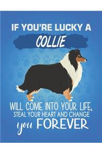 If You're Lucky A Collie Will Come Into Your Life, Steal Your Heart And Change You Forever