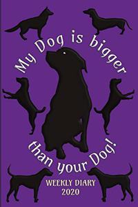 My dog is bigger than your dog! - Weekly Diary 2020
