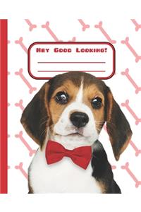 Hey Good Looking!