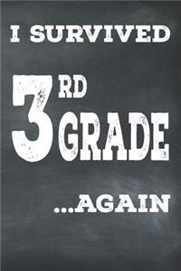 I Survived 3rd Grade ...Again
