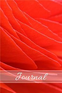 Journal
