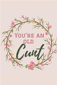 You're An Old Cunt