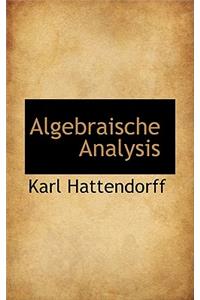 Algebraische Analysis