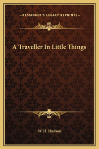 A Traveller In Little Things
