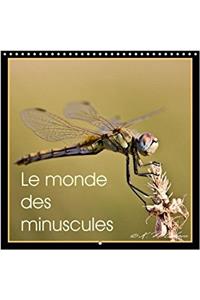 Monde Des Minuscules 2018