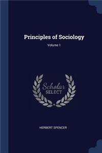 Principles of Sociology; Volume 1
