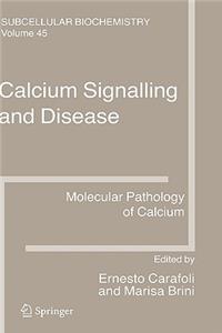 Calcium Signalling and Disease