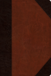 ESV Single Column Journaling Bible
