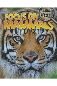 Focus on Mammals